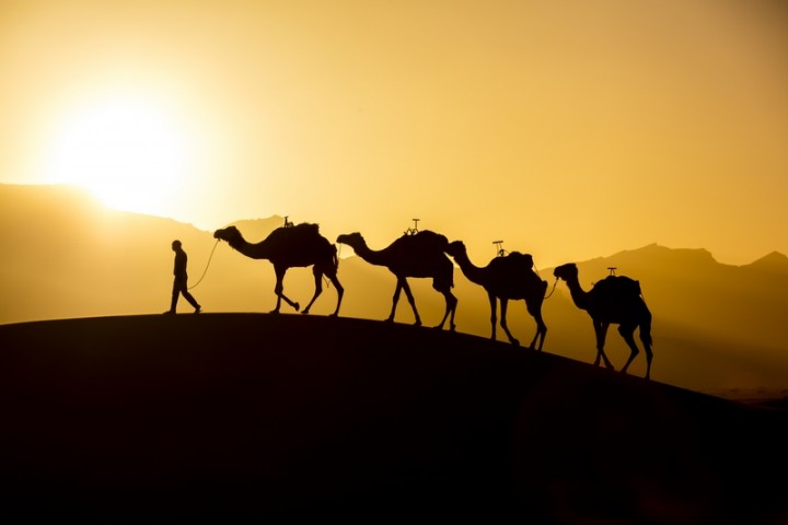 The Moroccan Facets Tour