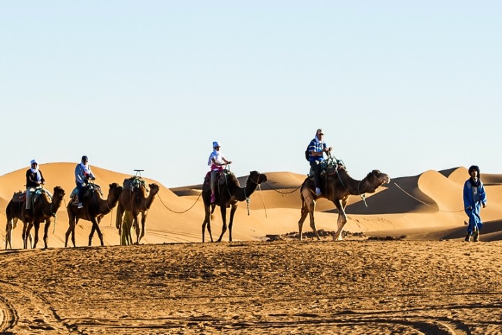 The Charming Sahara